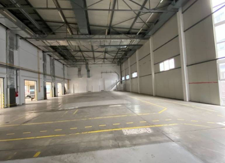 Empty warehouse spaces with high ceilings and marked paths in warehouses and halls.