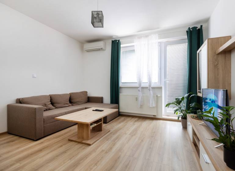 Living room in a 2-room apartment with a sofa, wooden table, and TV cabinet with greenery.