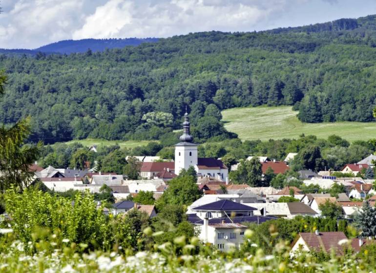 A picturesque panorama of Lutila with agricultural and forest lands and a church surrounded by green forests.