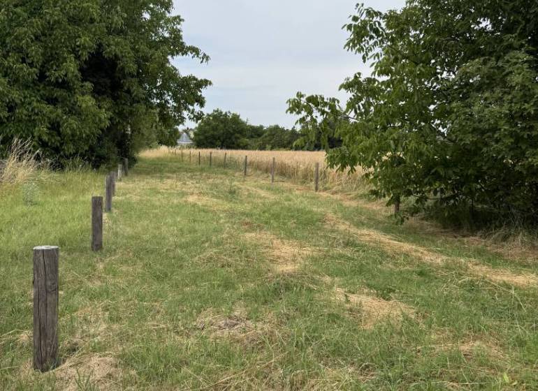 Land in Povoda, suitable for living, surrounded by greenery and wooden stakes.