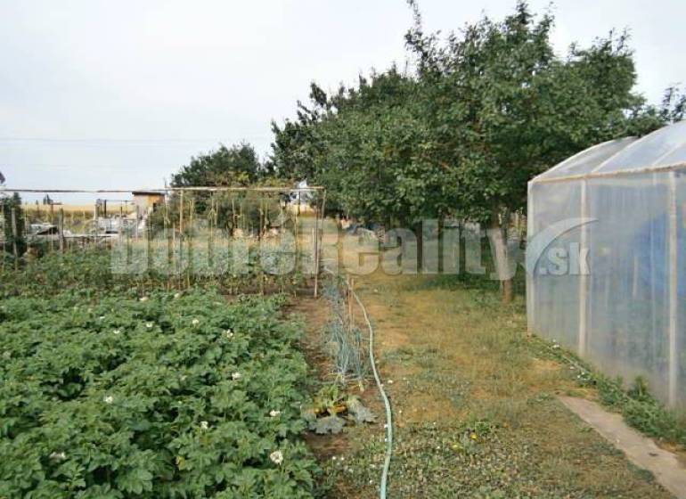 Garden on a residential plot in Jasová with a greenhouse and cultivation area.
