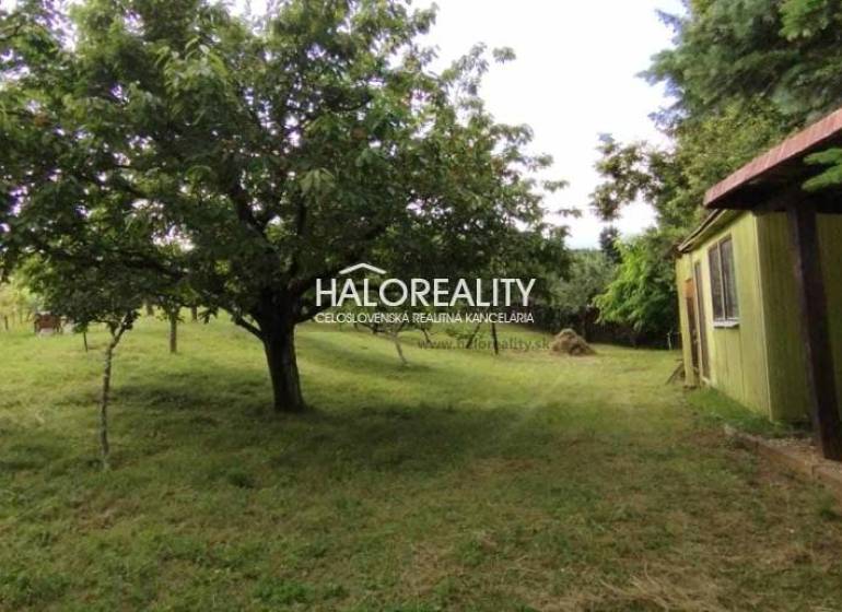 Garden with a cottage and trees in Pozemky - living in Krupina.