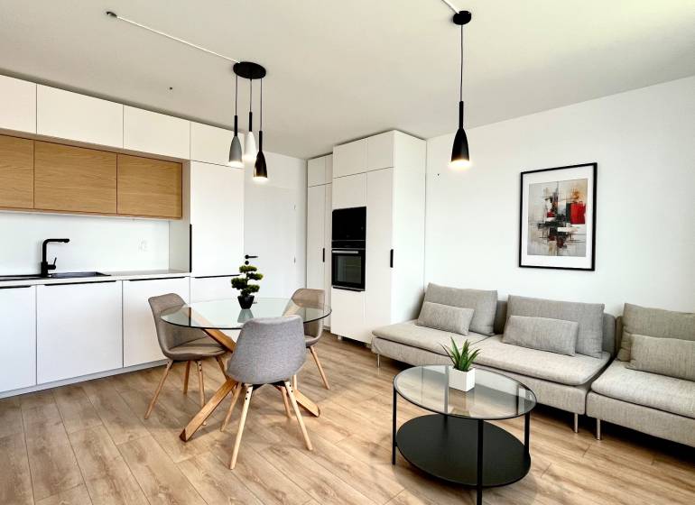 Design kitchen and living room in a two-room apartment with wooden details and decoration.