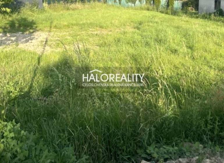 Greenery and grass on the plot in Remetské Hámre suitable for living.