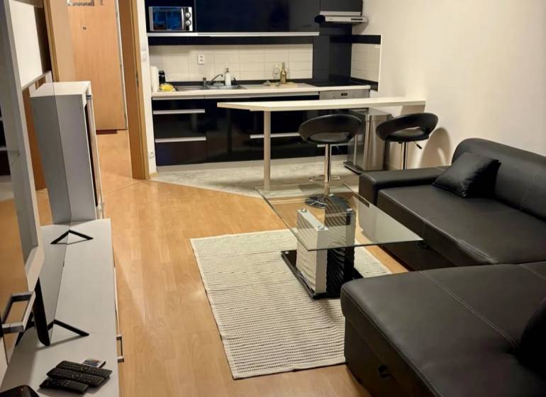 Living room with kitchen, leather sofa, bar counter, and television in a 2-room apartment.