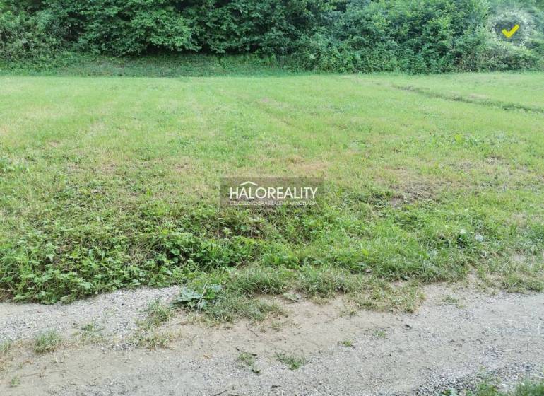Lands - housing in Modrová include a grassy area near the forest with a road.