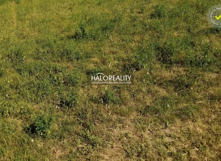 Greenery and grass on a residential plot in Lubina.