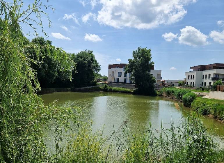 A view of the lake with suburban development on Vtáčia Street in Senec.
