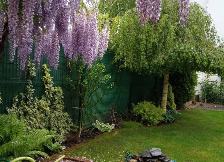 Flower garden at a family house on Brusnicová Street in Chorvátsky Grob.