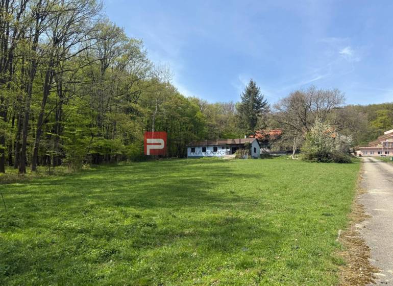 Peaceful meadows surrounded by forest in the town of Pezinok, ideal for residential plots.