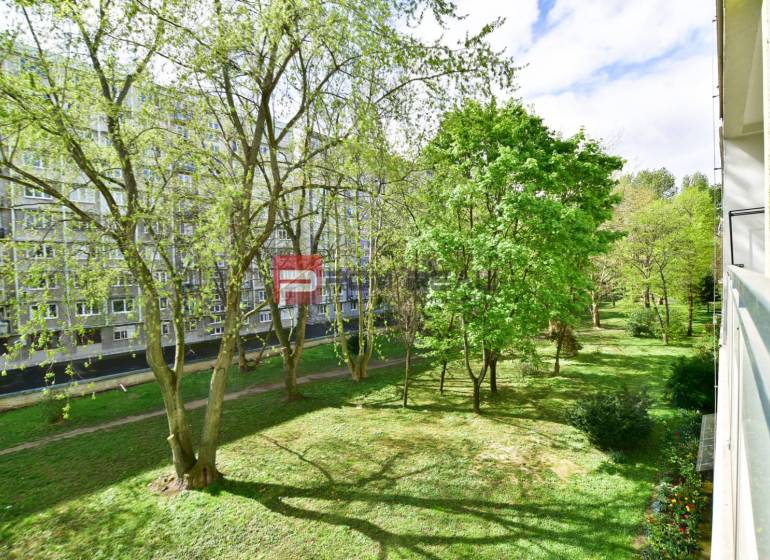 View from a 3-room apartment to a green park in the center of Pezinok.