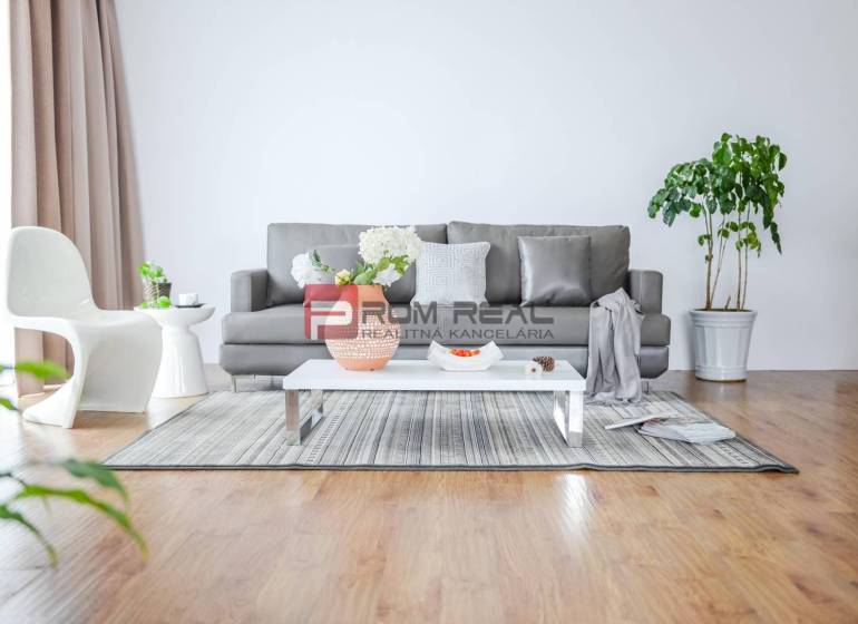 Living room in a studio apartment; gray sofa, white table, plants, and wooden floor.