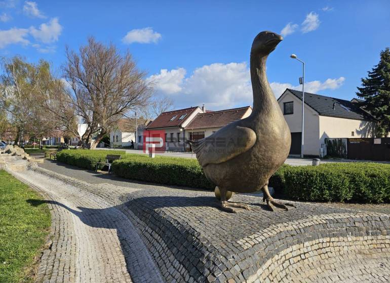 Statue of a goose in Slovenský Grob, surrounded by greenery and houses, Commercial land.