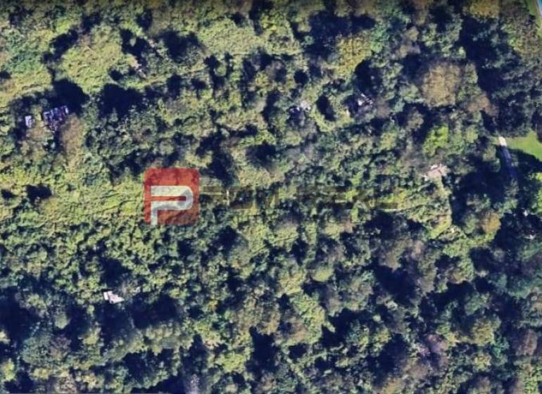 Aerial view of a green area near the railway track in Horné Kňažky, garden trends.
