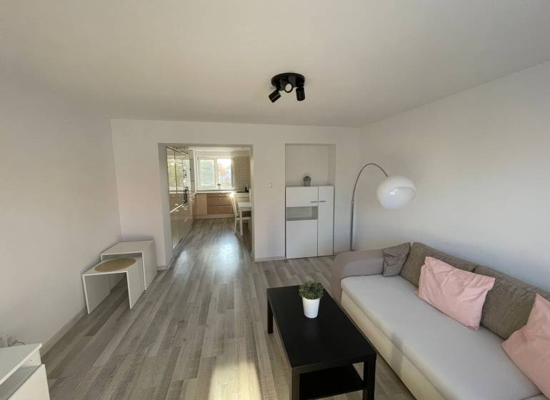 Living room in a two-room apartment with a sofa, table, and entrance to the kitchen.