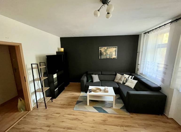 Living room in a two-room apartment with a sofa, table, and black wall.