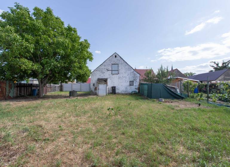 Lands - housing on Športová Street in the village of Gajary with a house and a large tree.