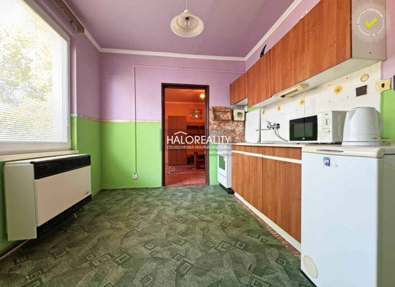 A kitchen in a studio apartment with purple-green walls, a green carpet, and wooden cabinets.
