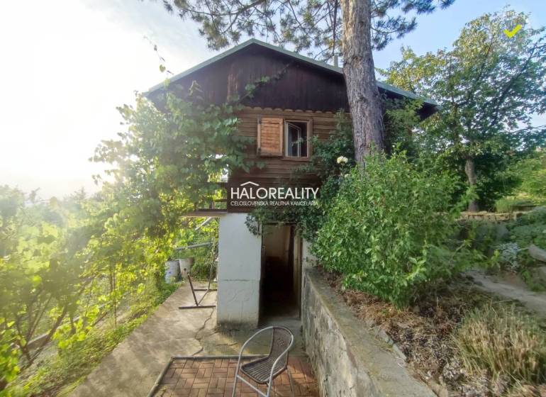 A garden in Zvolen with a wooden cottage and a tree, sunny weather.
