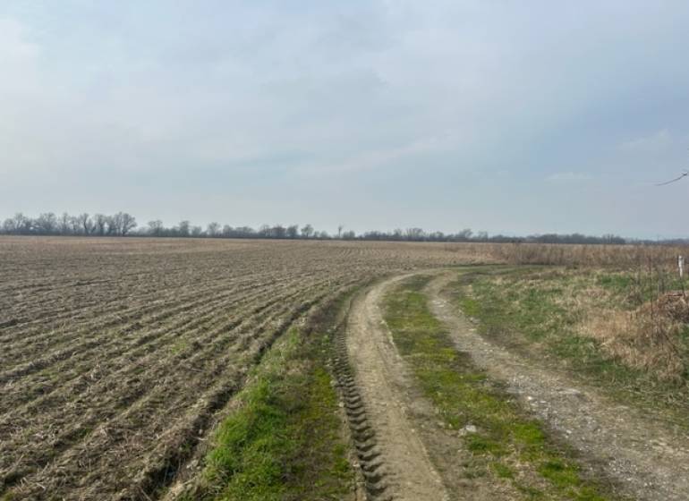 Agricultural and forest land in Zálesie on Domky Street with a dirt road.
