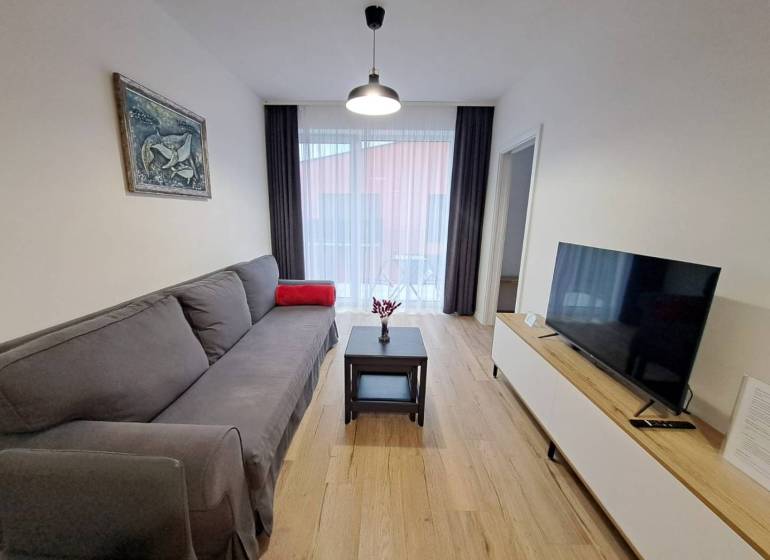 Living room with a sofa, table, and television in a two-room apartment.