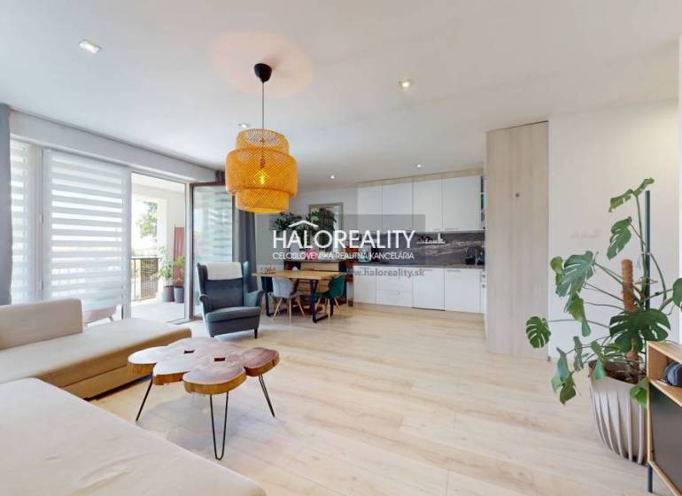 Living room in a three-room apartment with a large window, dining table, and plants.