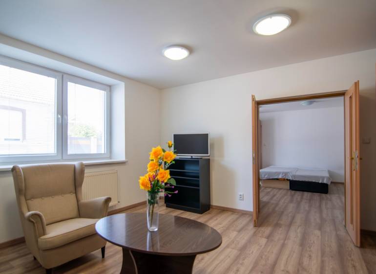 Living room in a two-room apartment with an armchair, a table, and flowers in a vase.