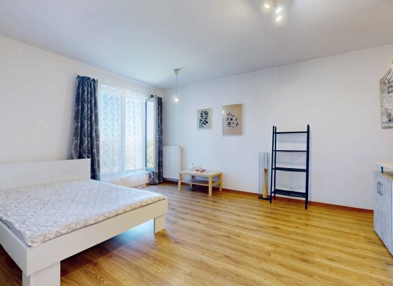 A spacious room with a bed, wooden floor, wall decoration, and a large window in a studio apartment.