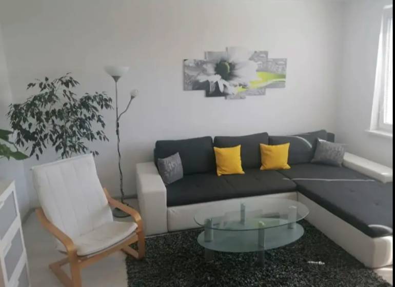 Living room in a one-bedroom apartment with a sofa, armchair, table, and plant.