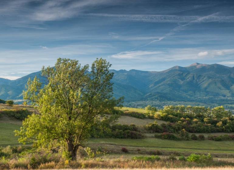 Landscape of agricultural and forest land near Sučany with a panorama of mountains and a tree in the foreground.
