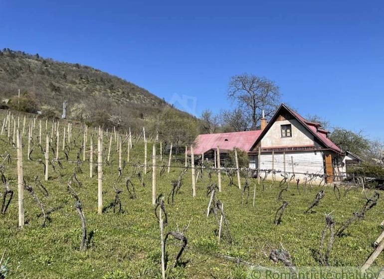 A cottage with a red roof surrounded by a vineyard, hills on the horizon. Unusual properties.