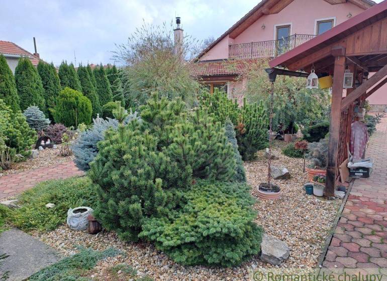 A family house in Zlaté Moravce with a landscaped garden and greenery, lined with walkways.