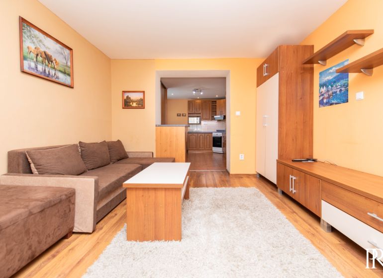Living room in a two-room apartment with a comfortable sofa, wooden furniture, and decorations.