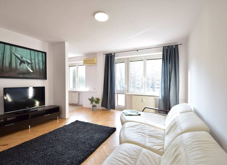 A bright living room with a white couch, black rug, and large windows in a two-room apartment.