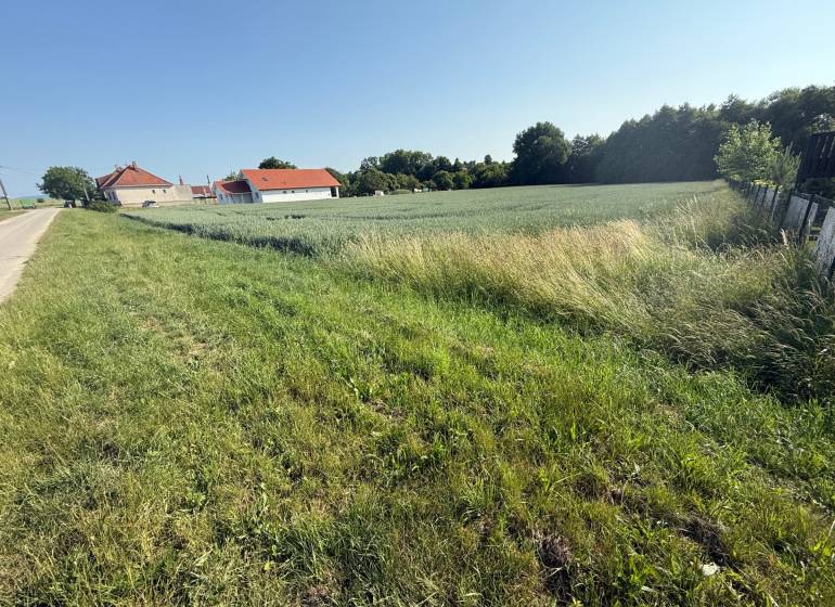 Grassy plots for living in Bojná; houses, fields, and a road next to the forest.