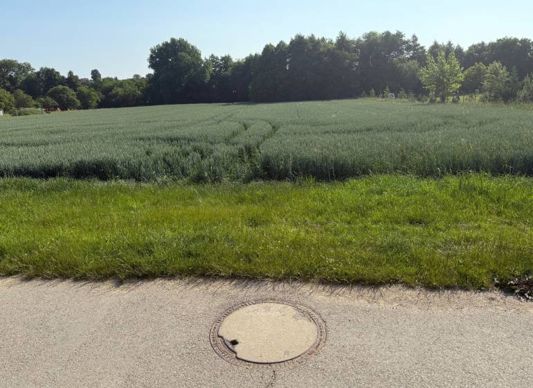 Greenery and fields surrounded by trees, ideal for plots - living in Bojná.