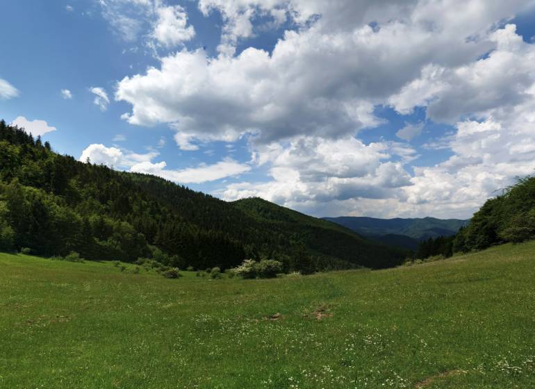 A green meadow surrounded by forests and hills in Čavoj, ideal for agricultural and forestry land.