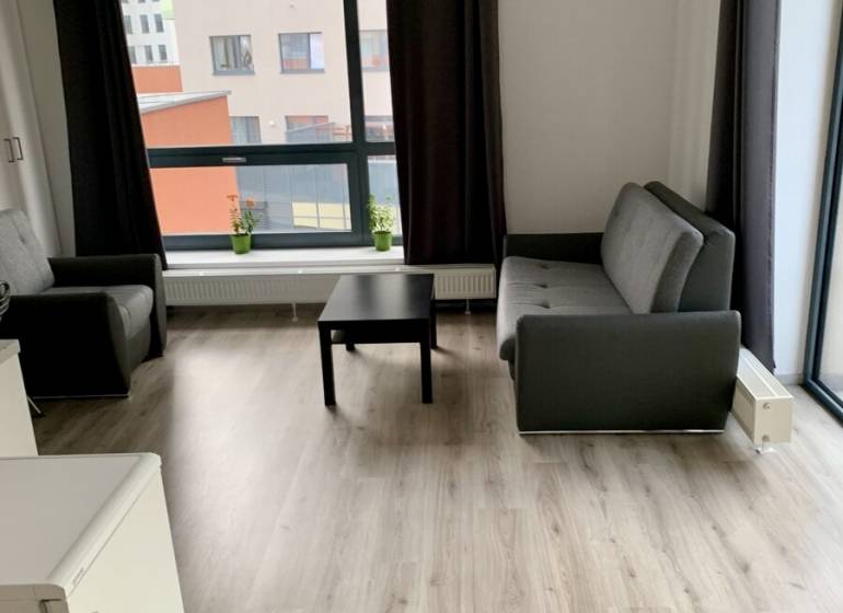 Living room in a two-room apartment with two sofas and a large window.