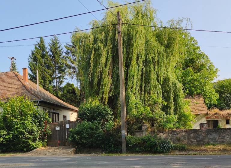A family house in the town of Hont, surrounded by greenery and trees, next to a fenced garden.