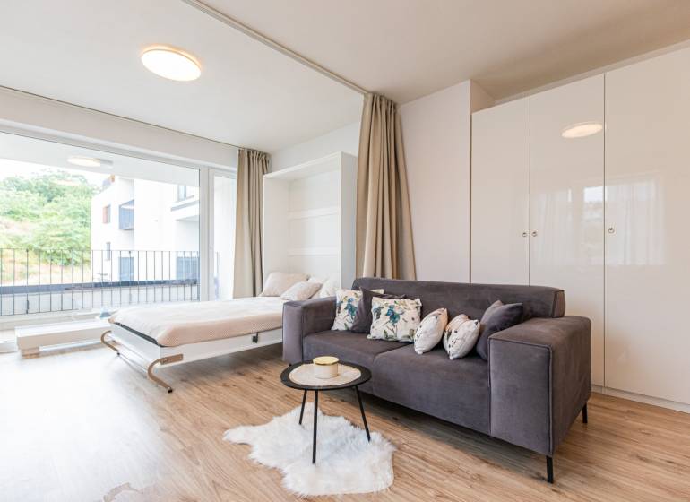 A room with a sofa, a pull-out bed, a window, and a wooden floor in a studio apartment.