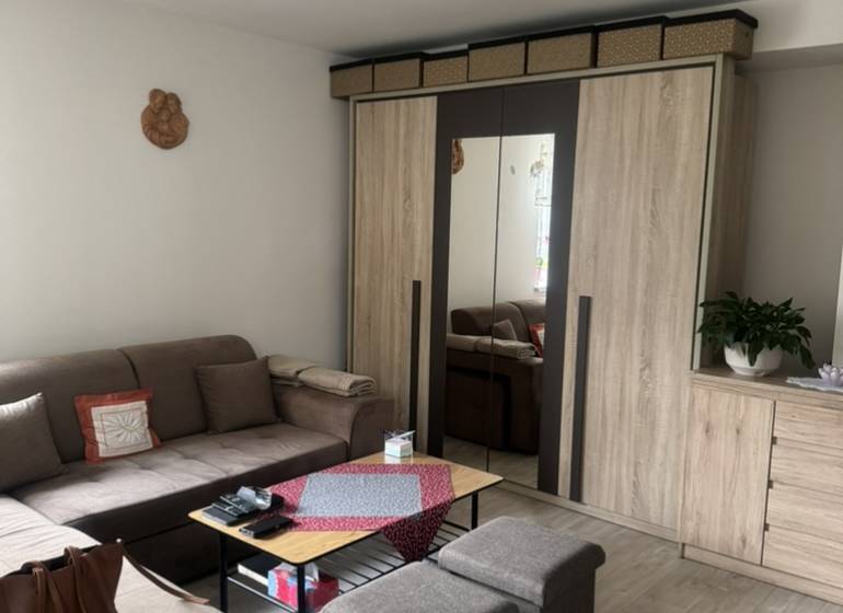 A comfortable living room in a studio apartment with a sofa, cabinet, and coffee table.