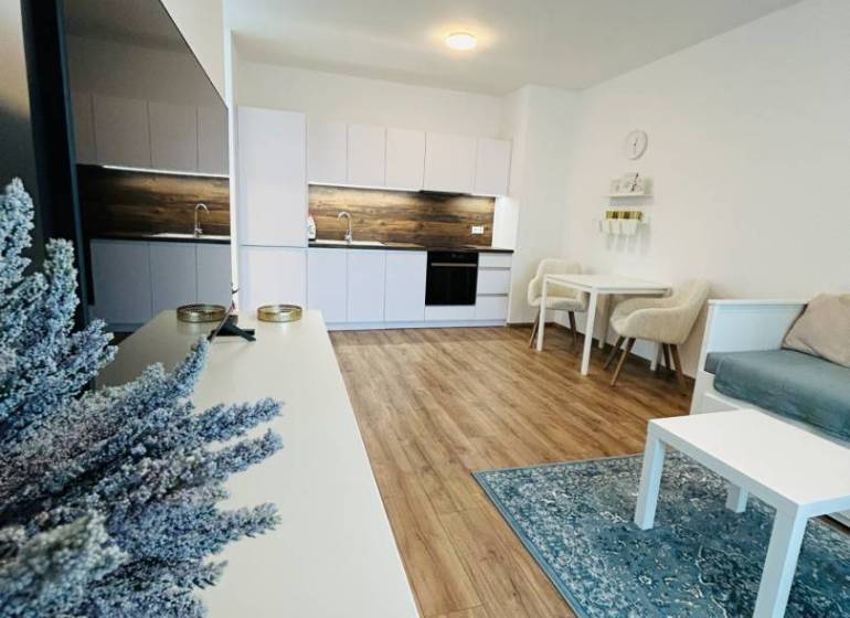 Bright kitchen and living area in a studio apartment with wooden flooring.