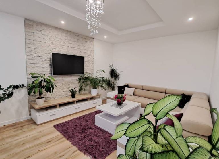 Living room in a two-room apartment with a sofa, plants, and a television on a stone cladding.