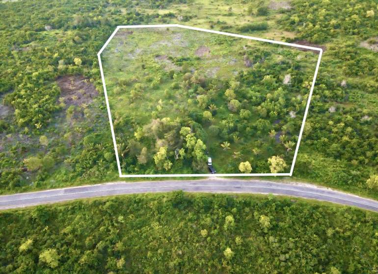 Plots - commercial in Kizimkazi, Unguja South; road lined with vegetation, delineated by a white line.
