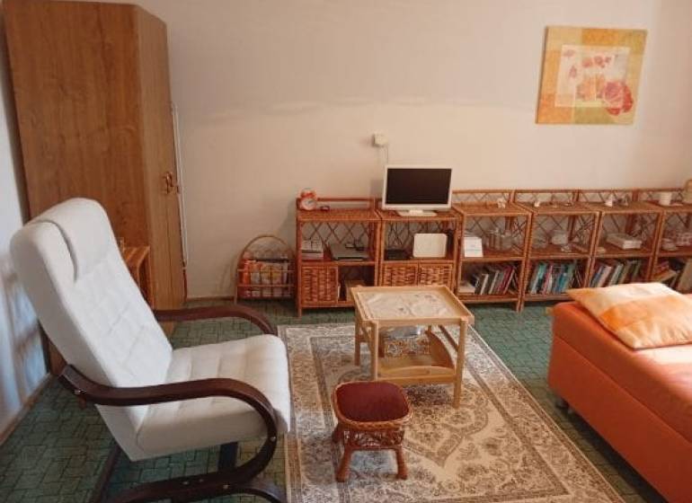 Living area of a studio apartment with a comfortable armchair, bookshelf, and carpet.