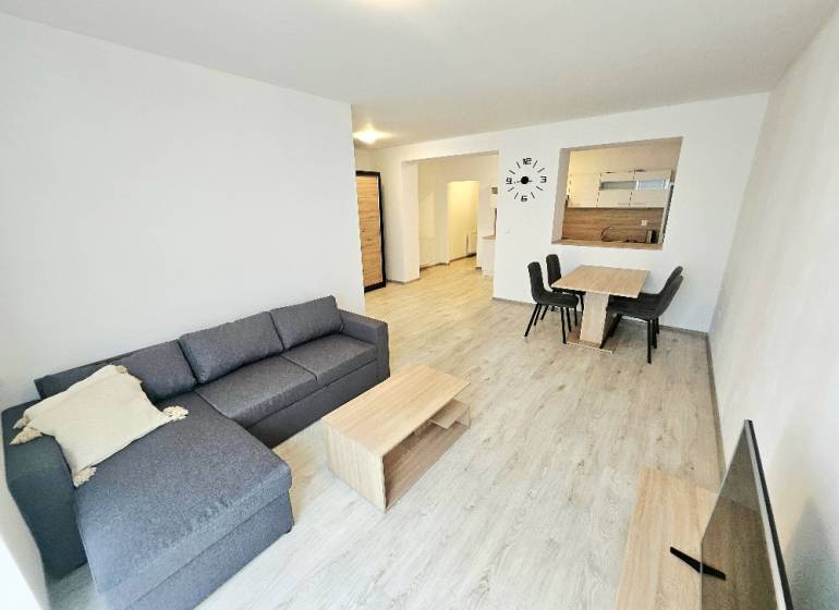 Living room with a sofa, dining table, and television in a 2-room apartment.