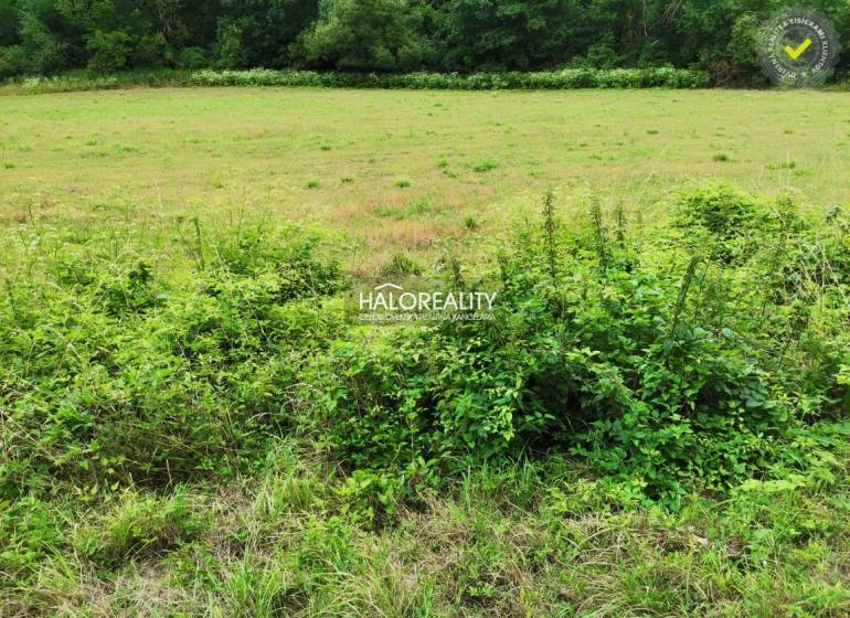 Recreational plots in Podkylava surrounded by lawn and lush vegetation near the forest.