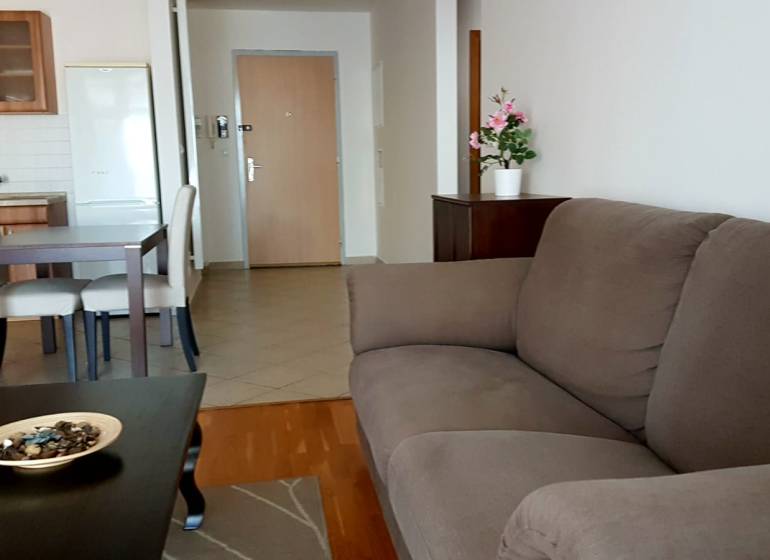 Living room with a sofa, dining table, and kitchen unit in a 2-room apartment.