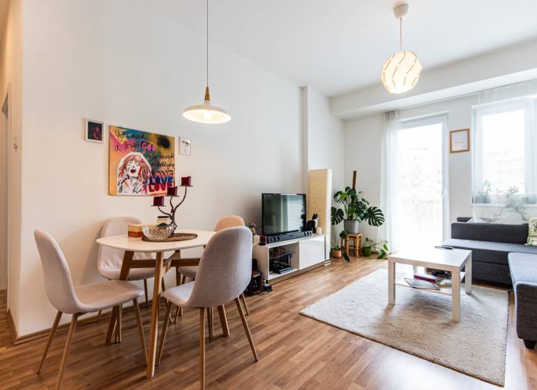 Living room in a two-room apartment with a dining area and a sofa.