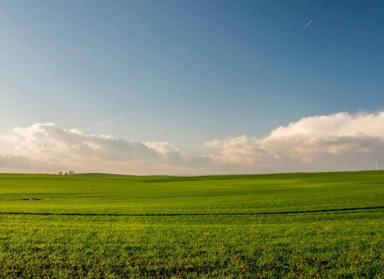 Green agricultural and forest lands around Sokoľ with wind turbines on the horizon.
